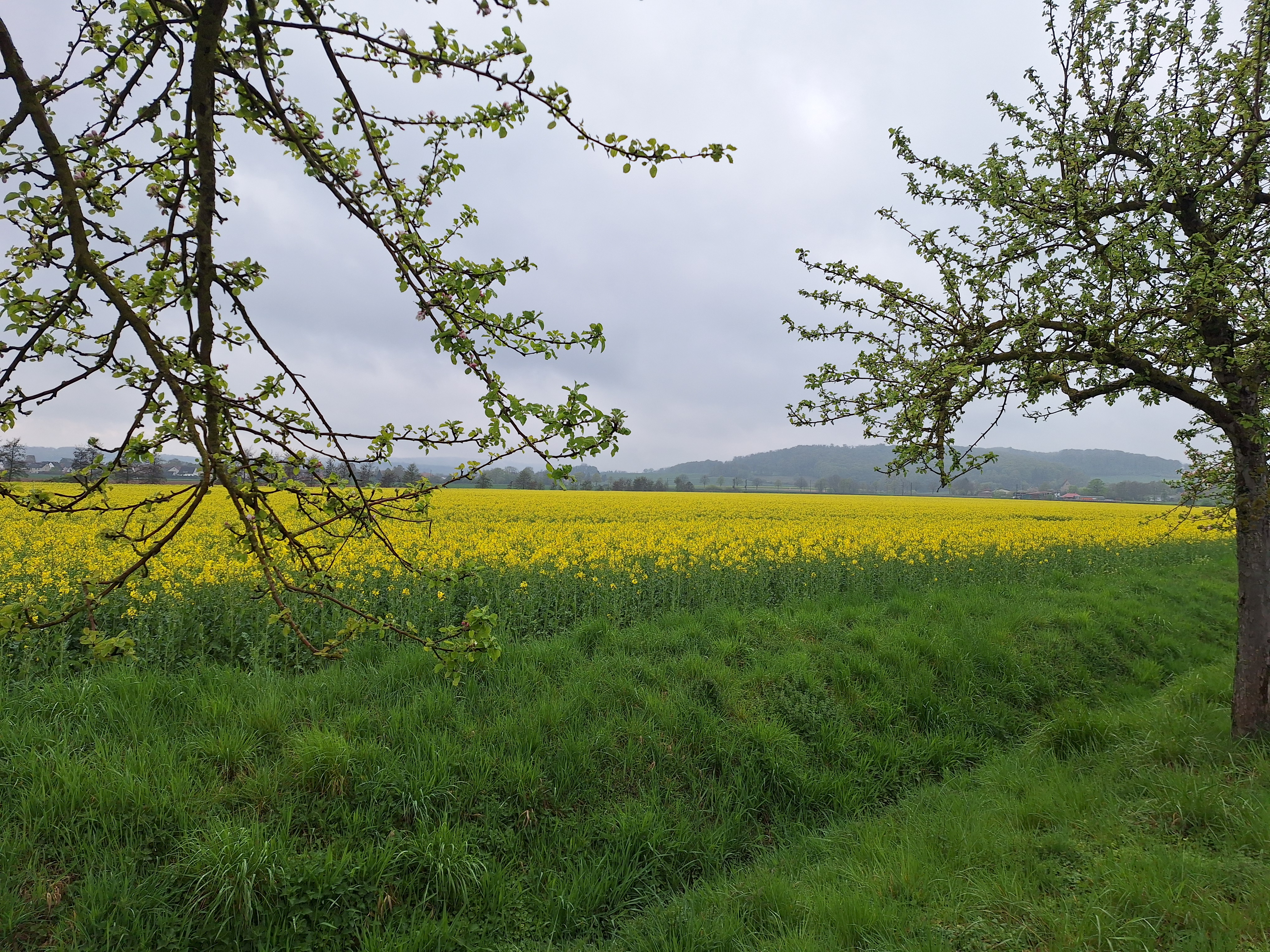 Maschsee